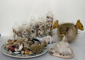 Seashore related collectables: to include a Puffer fish