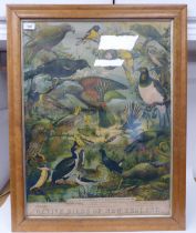 A coloured print poster by Brett Printing Coy. of Auckland, featuring an extract of Native Birds