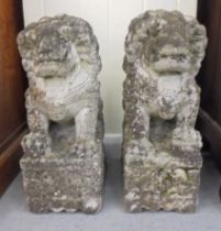 A pair of Chinese carved, weathered marble, seated Lion Dogs, on plinths  20"h