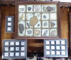 Unidentified gemstones and fossils