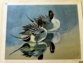 After Charles Tunnicliffe - a study of ducks on still water  Limited Edition 190/500 coloured print