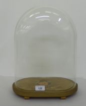 A clear glass oval display dome, on a gilded platform  16"h  12"w