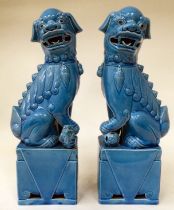 A pair of modern Chinese turquoise glazed Dogs of Fo, on attendant plinths  14.5"h