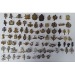Approx. sixty mainly British, regimental cap badges and associated insignia, some copies: to include