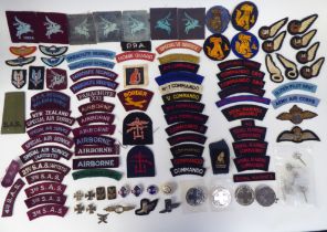 Military uniform, cloth embroidered and other badges, some copies: to include titles for Parachute