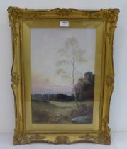 JW Gozzard - 'Autumn, Isle of Arran'  watercolour  bears a signature  17" x 11"  framed