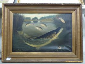 A Roland Knight - a fish in a lake  oil on canvas  bears a signature  15" x 23"  framed