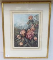 Eloise Harriet Stannard - 'Study of Rhododendrons'  watercolour  bears a signature & a Marling