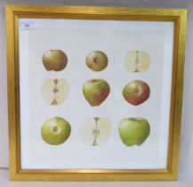 After Nicola Butle - 'Kersall Apples'  Limited Edition 12/75 coloured print  bears a pencil