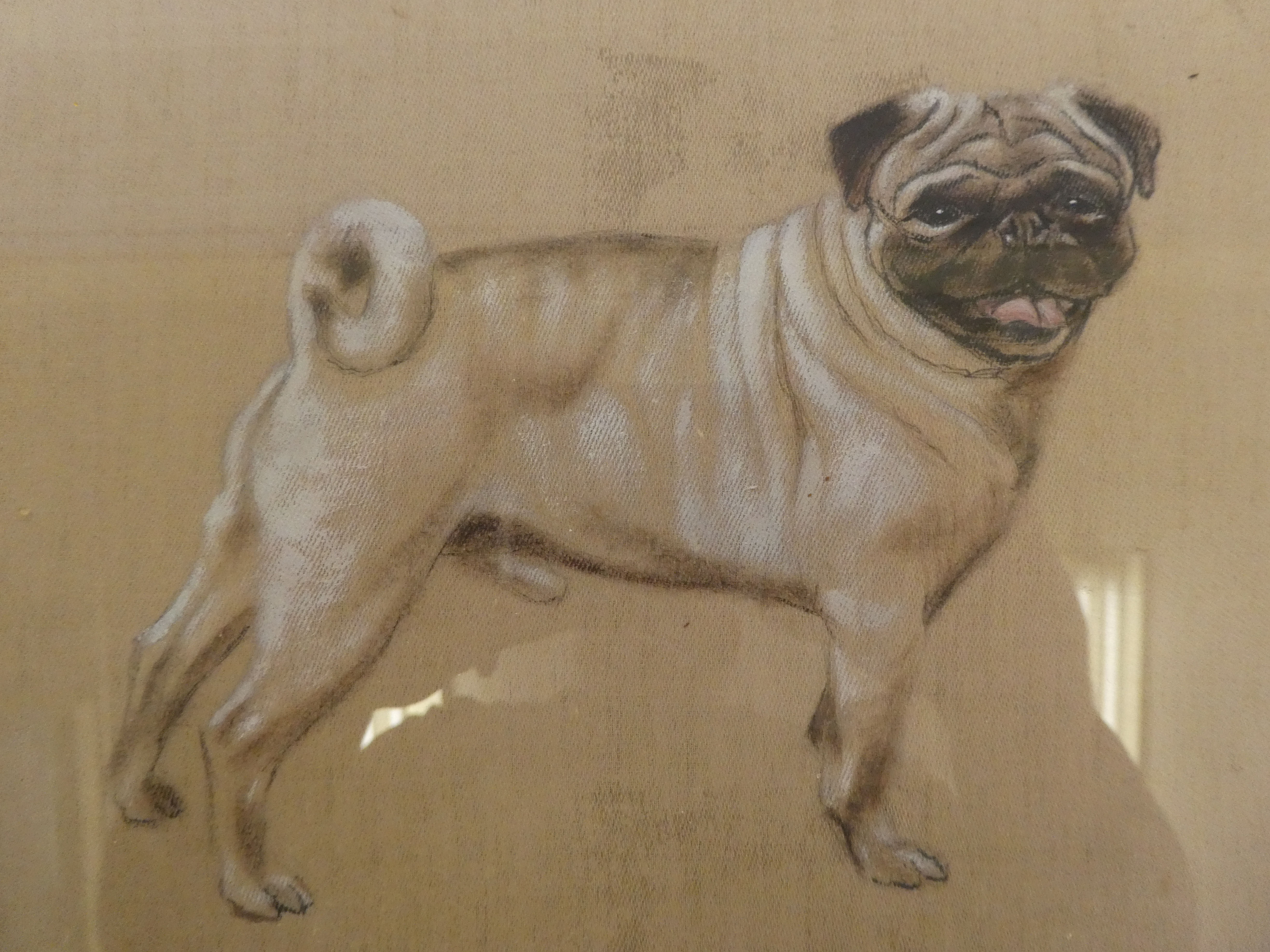 Mid 20thC Chinese School - a study of a pug dog  bodycolour & oil on silk  bears a three character - Image 2 of 4