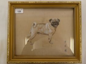 Mid 20thC Chinese School - a study of a pug dog  bodycolour & oil on silk  bears a three character
