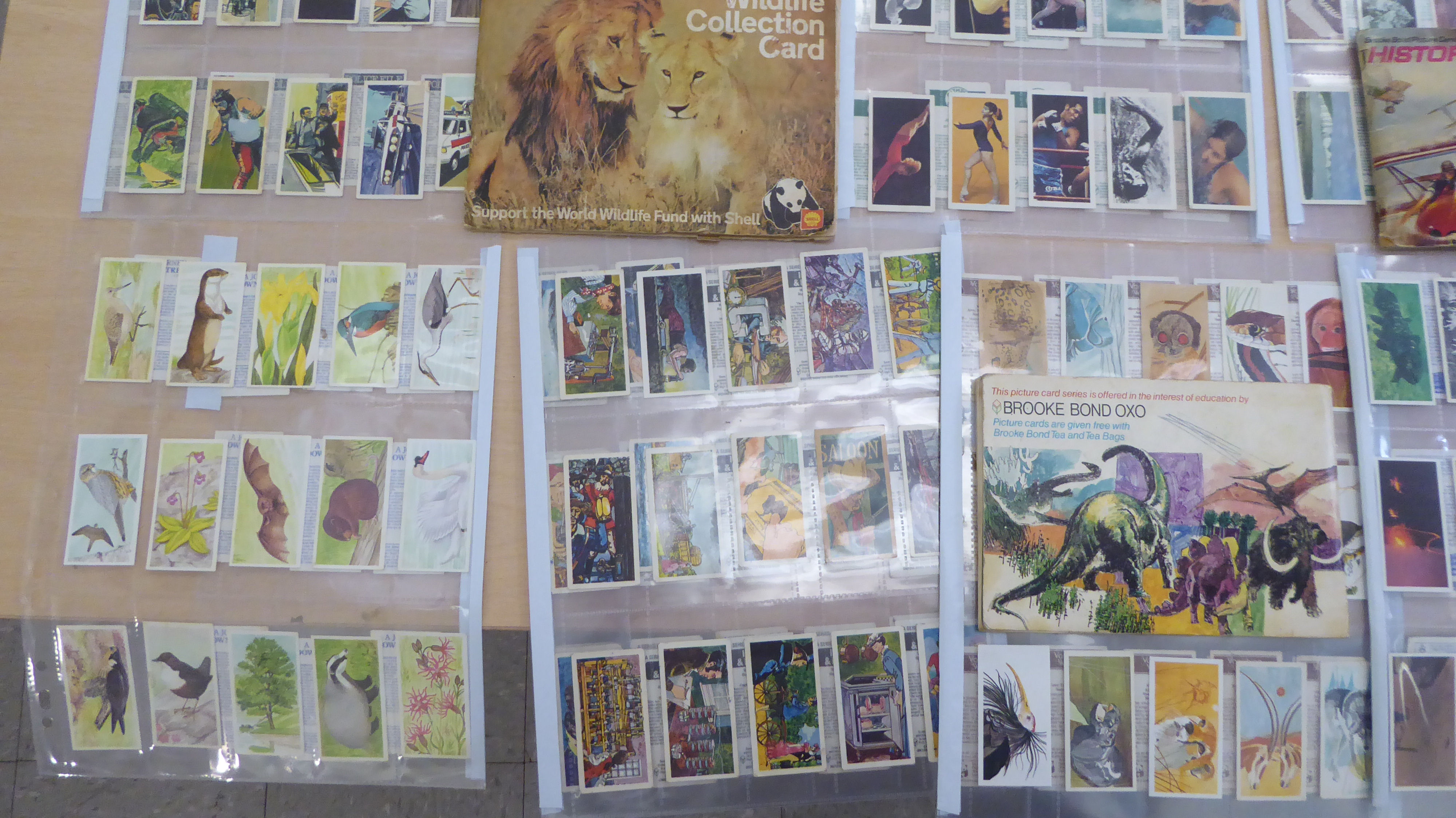Uncollated tea cards: to include Disney and wildlife issues - Image 5 of 5