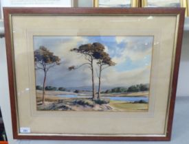 Winston Megoran - an open landscape  watercolour  bears a signature  11" x 16"  framed