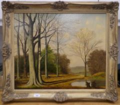 David Mead - a woodland landscape  oil on board  bears a signature  19" x 23"  framed