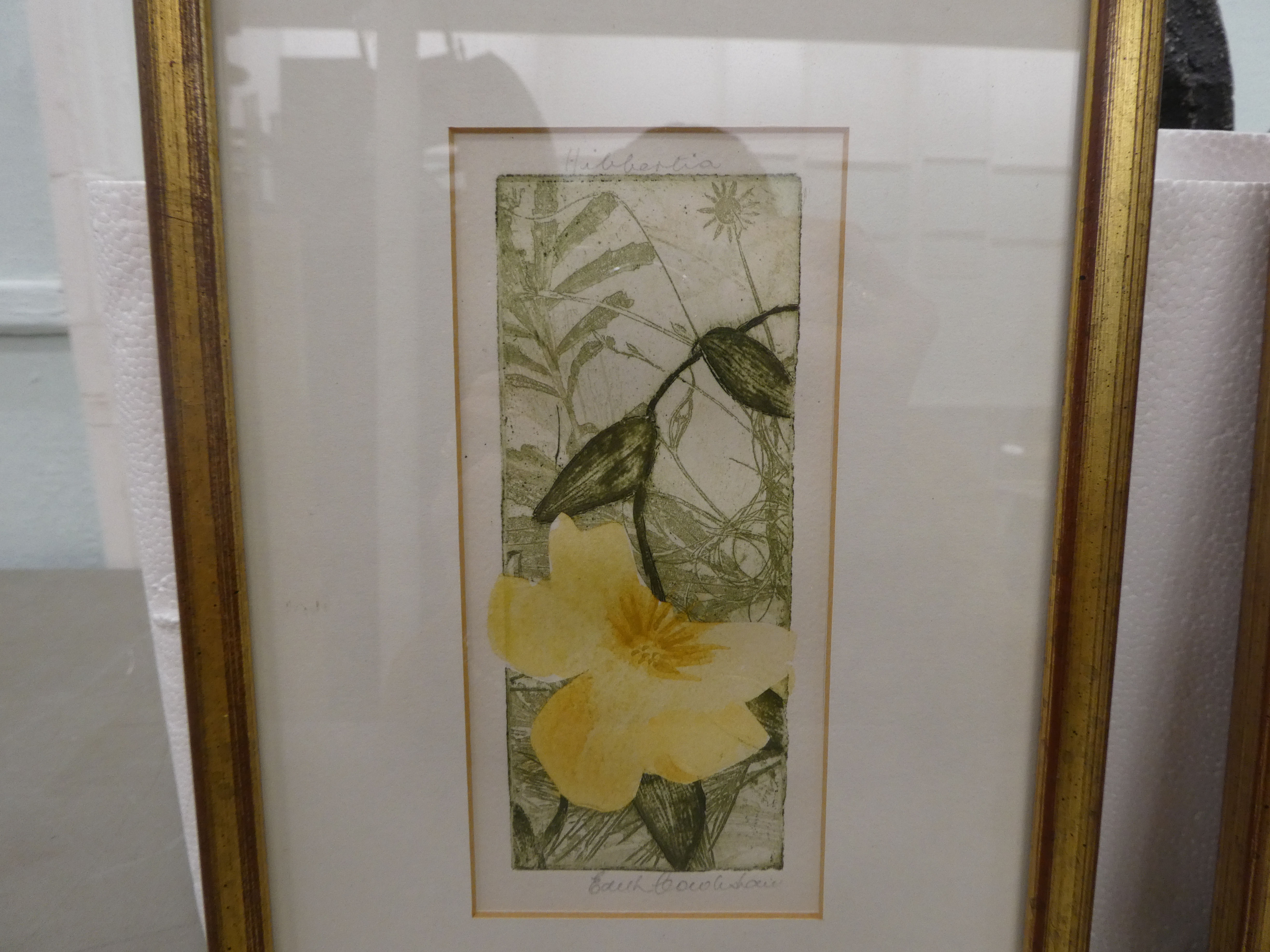 Two works after Edith Cowlishaw - floral studies  coloured prints  bearing pencil signatures  2" x - Image 2 of 5