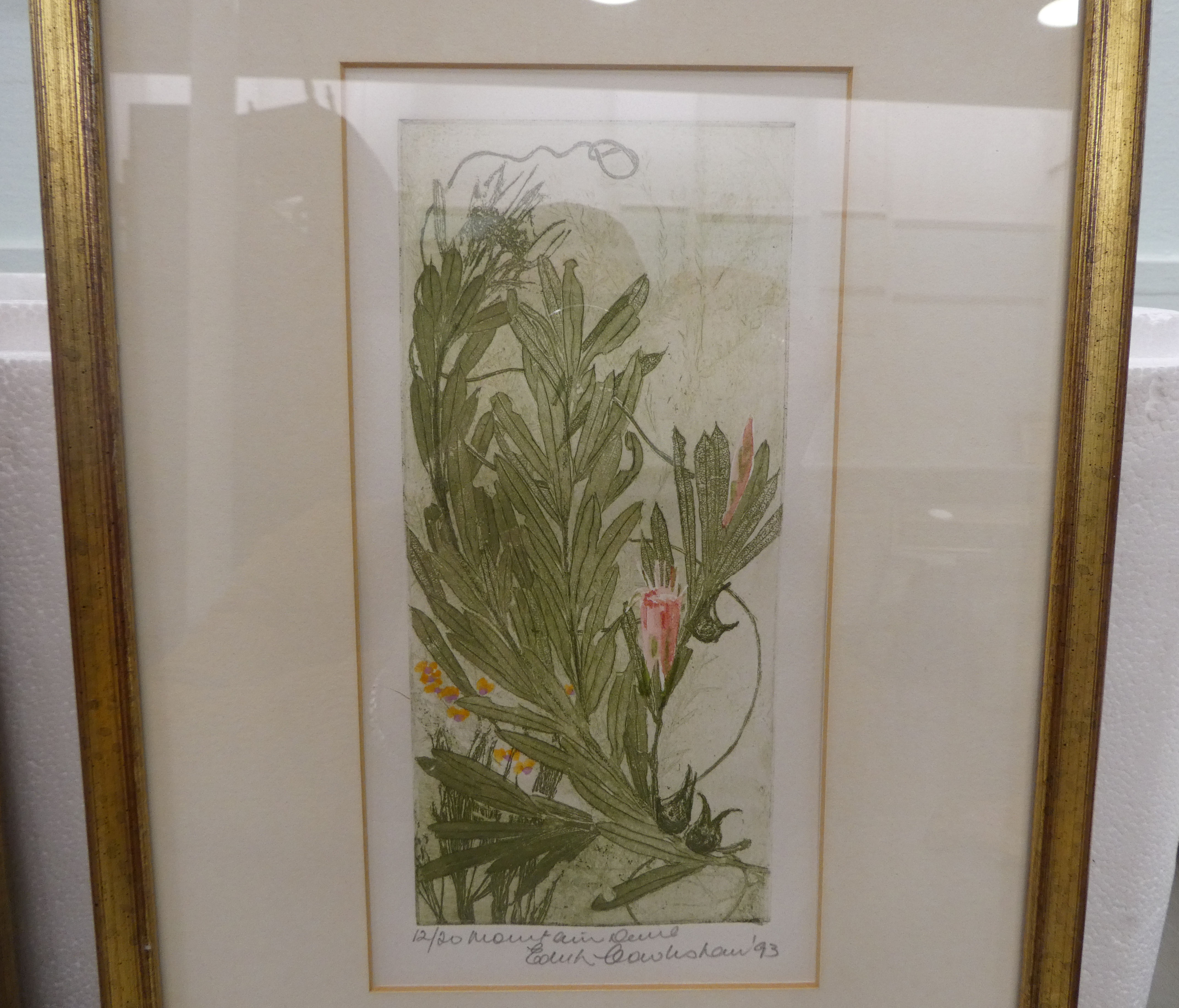 Two works after Edith Cowlishaw - floral studies  coloured prints  bearing pencil signatures  2" x - Image 3 of 5