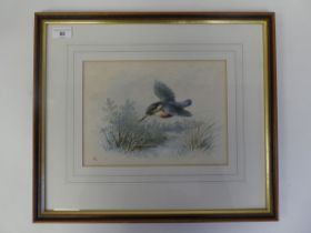 Early 20thC British School - a kingfisher in flight over reeds  watercolour  bears a monogram (