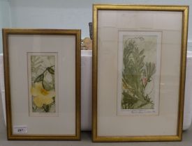 Two works after Edith Cowlishaw - floral studies  coloured prints  bearing pencil signatures  2" x