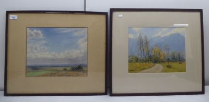 Two framed watercolours Janet Robertson - a woodland scene 9.5" x 12" and another, a rural landscape