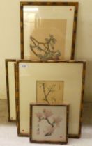 Orientally themed prints: to include floral studies  6" x 10"  framed