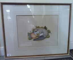 David Andrews - a doormouse eating a fallen apple  watercolour  bears a signature  12" x 16"  framed