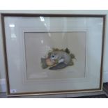 David Andrews - a doormouse eating a fallen apple  watercolour  bears a signature  12" x 16"  framed