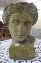 A composition stone male bust  16"h