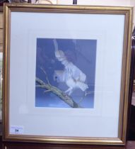 Trevor Boyer - 'Barn Owl'  acrylic  bears a signature & a Wildlife Art Gallery label verso  7" x 8"