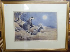 Eileen Alice Soper - 'Mother and cubs emerging from sett'  watercolour  bears a signature & a