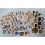 A mixed lot: to include various shell carved cameos