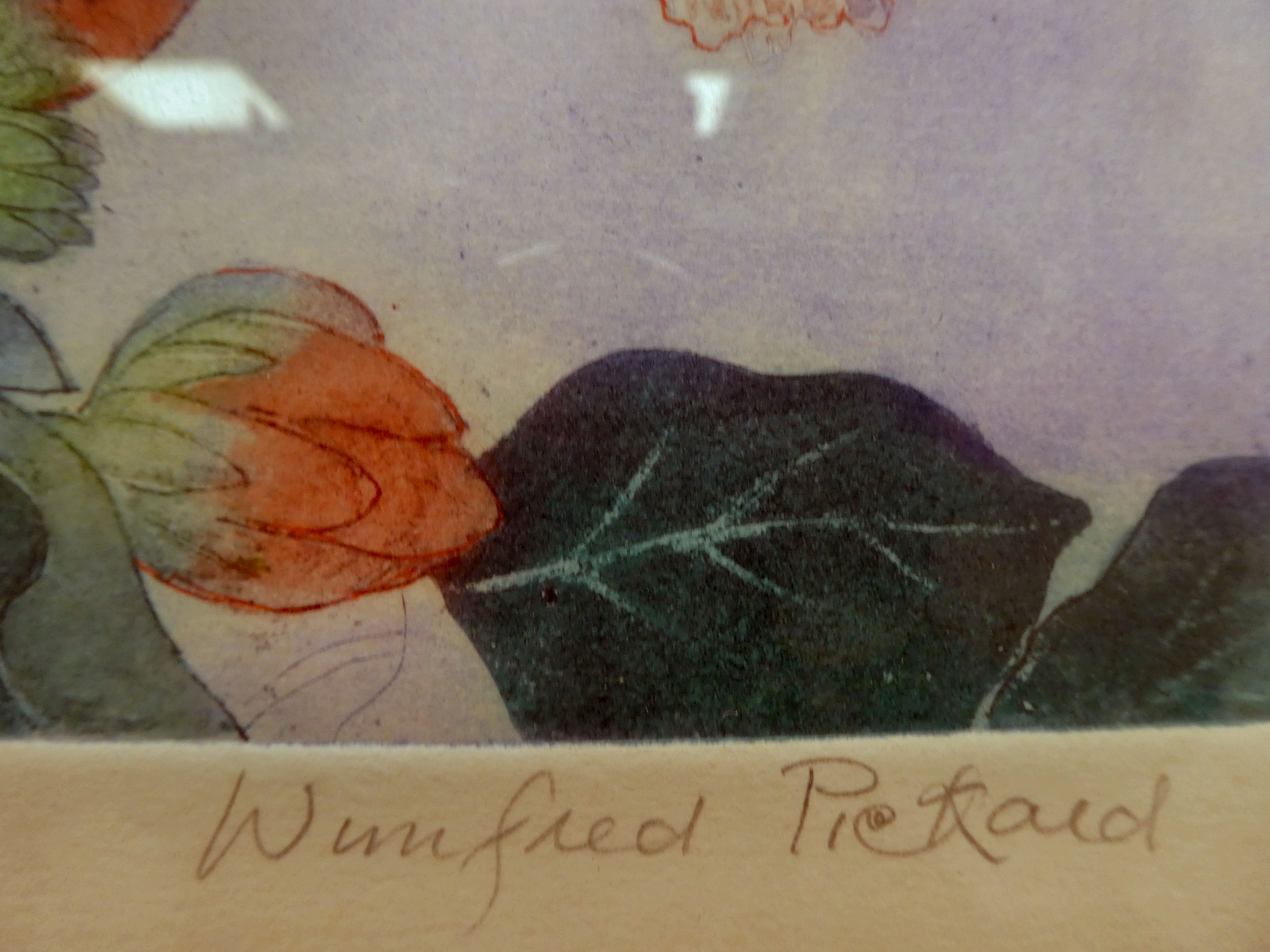 Winifred Pickard - 'Two Hummingbirds'  etching with aquatint  bears a pencil inscription (24/ - Image 4 of 5