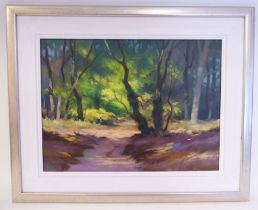 Denis Pannett - 'Sunlight in the Woods'  oil on canvas  bears a signature & label verso  12" x