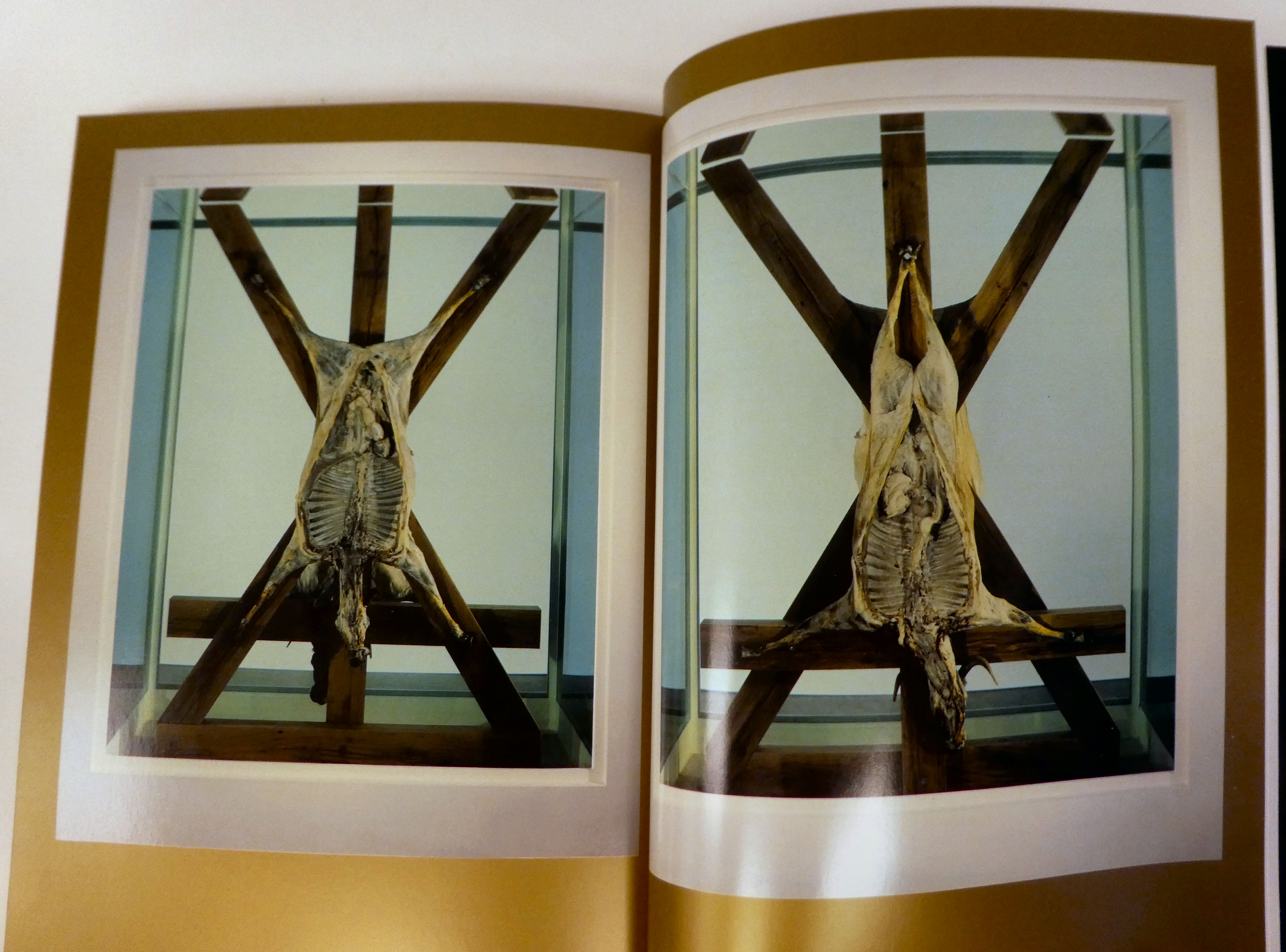 Book: 'The Death of God' a 2005 Brazilian exhibition catalogue of work by Damien Hirst, featuring - Image 5 of 6