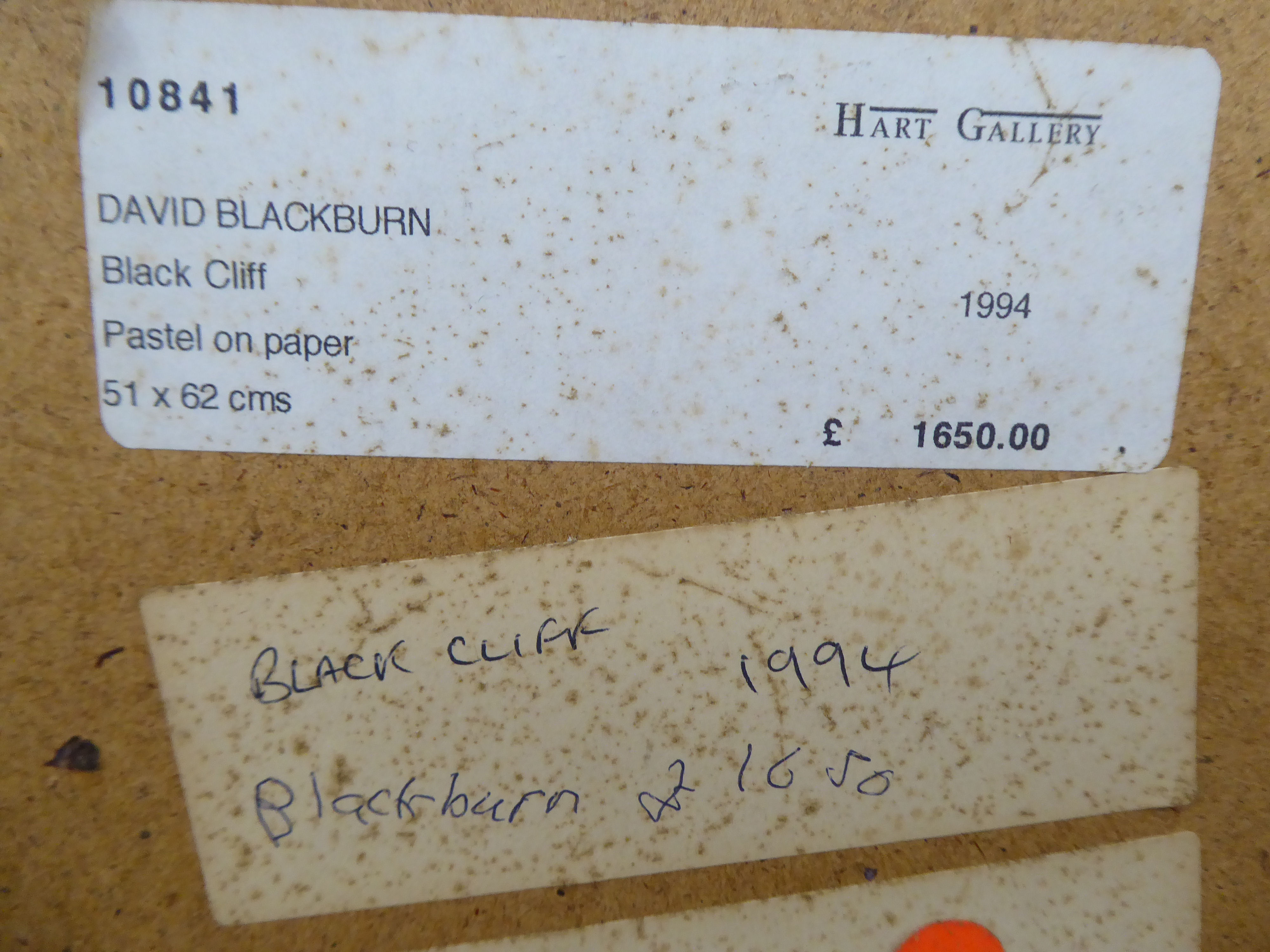 David Blackburn - 'Black Cliff'  pastel  bears a signature, dated 1994 with gallery label verso  20" - Image 4 of 4
