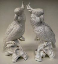 A pair of Crown Staffordshire china cockatoo's designed by JT Jones  13"h