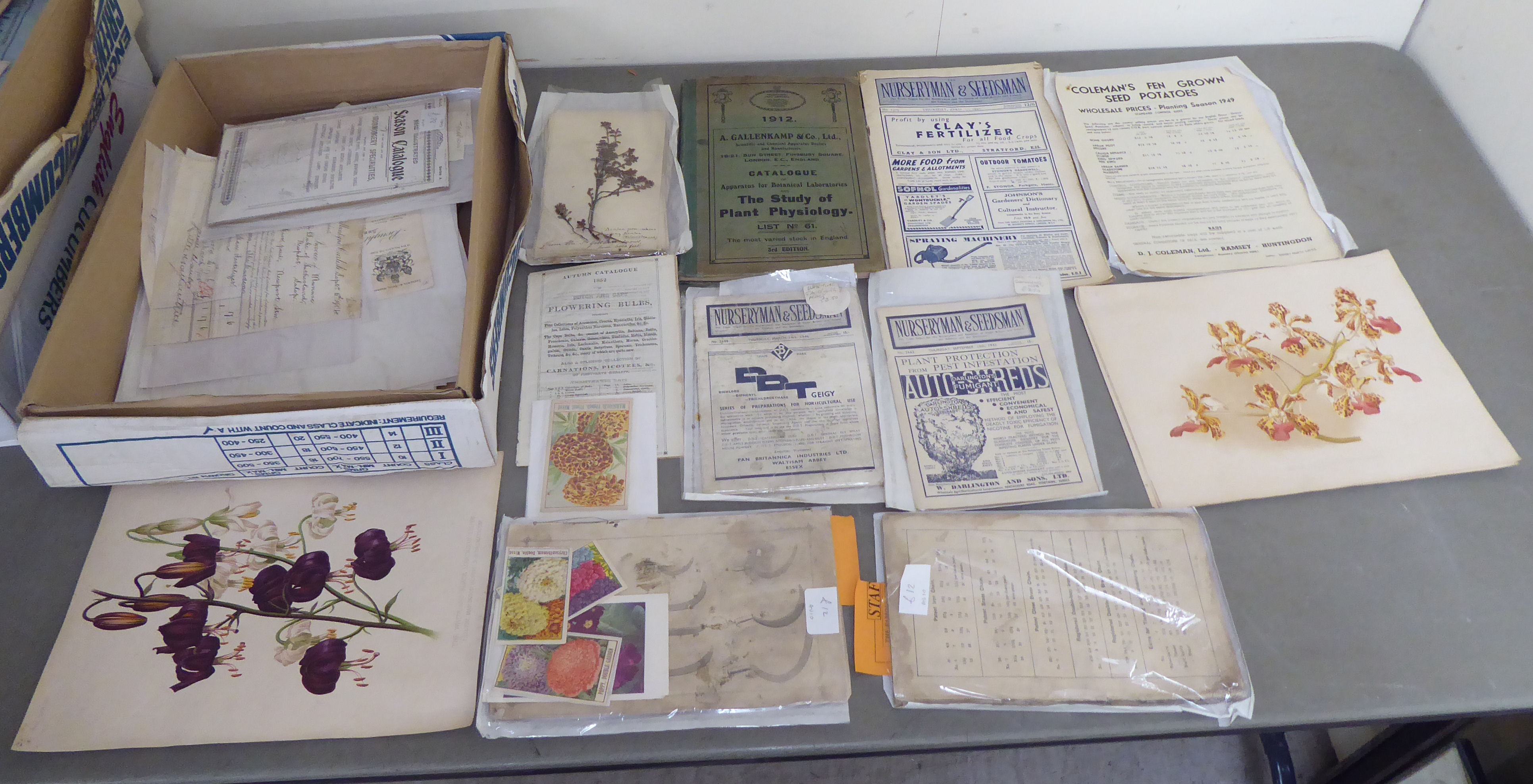Mainly early/mid 20thC horticultural and other ephemera - Image 2 of 4