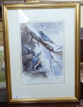 Eileen Alice Soper - 'Nuthatches on a branch'  watercolour  bears a signature & a Chris Beetles