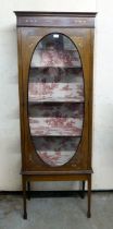 An Edwardian overpainted string inlaid mahogany display cabinet, enclosing four shelves, raised on