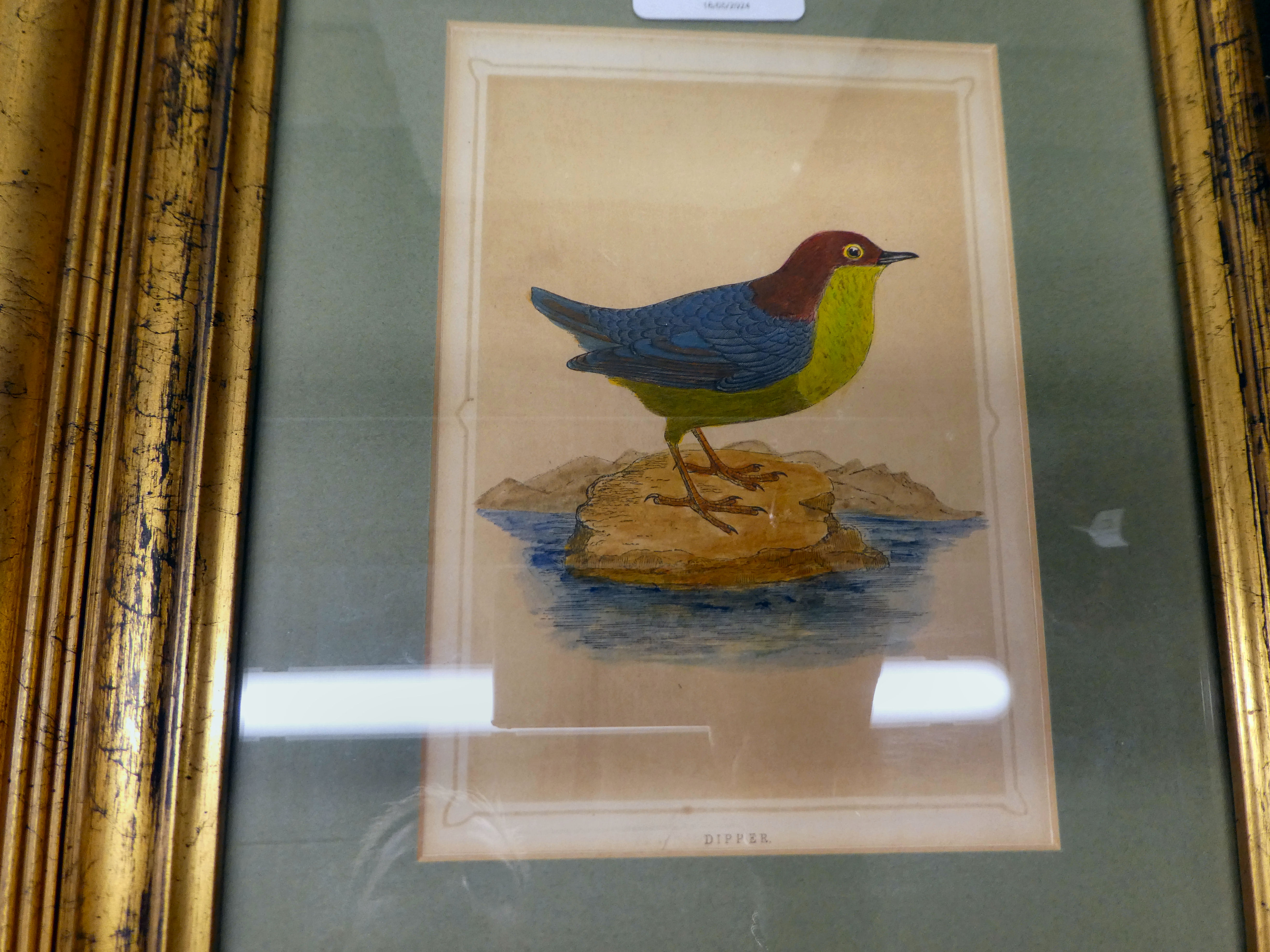 Pictures: to include a late 19thC study, a dipper  print  7" x 5"  framed - Image 6 of 7