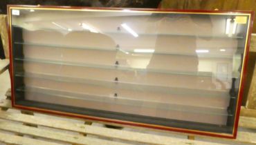 A modern partially glazed display case with five shelves  21"h  42"w