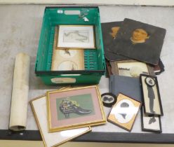 Mainly late 19th/early 20thC ephemera: to include an education entomology and horticulture print