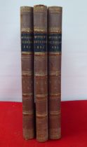Books: 'Mr Punch's Victorian era'  1887, in three volumes