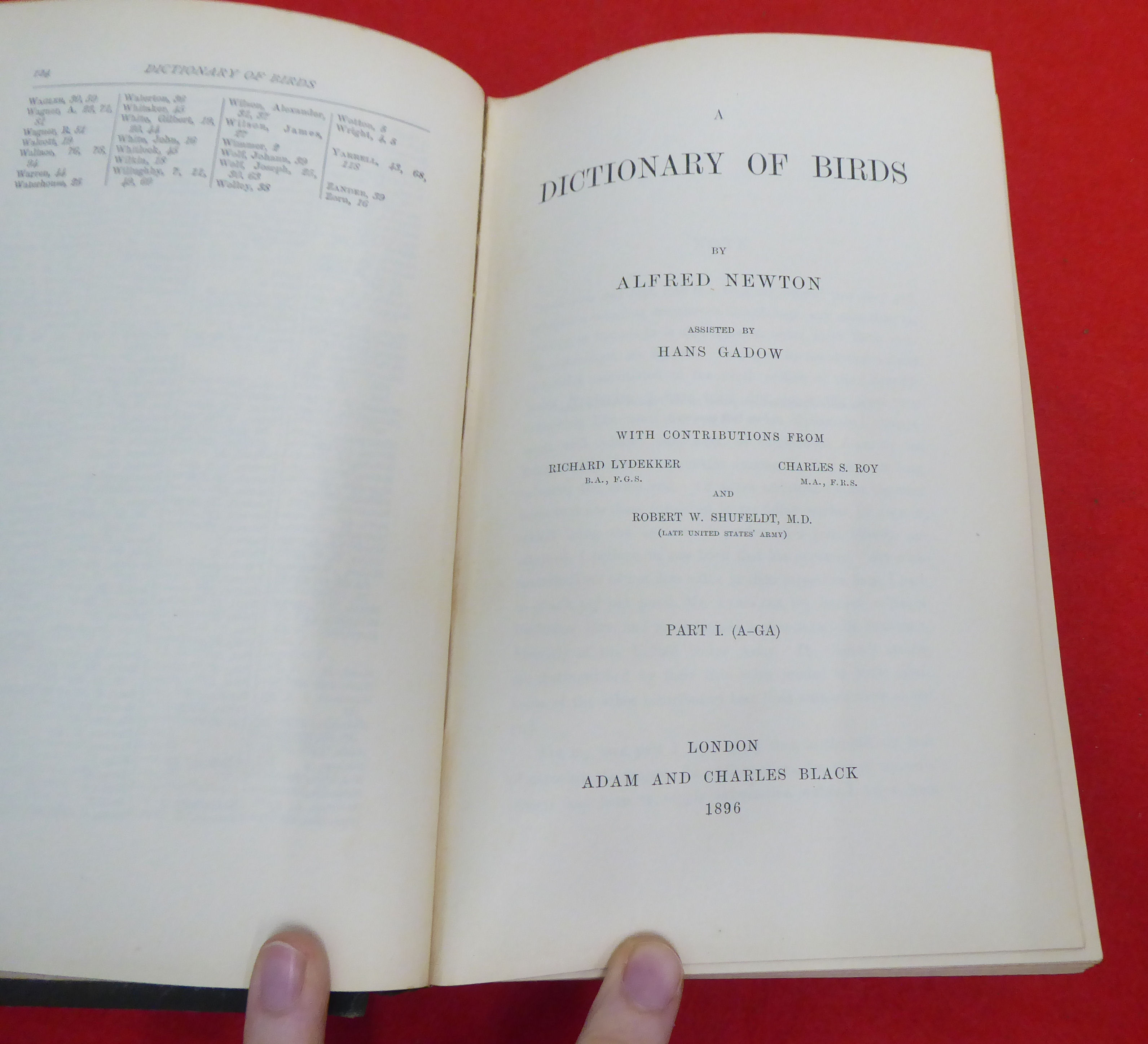 Book: 'A Dictionary of Birds' by Alfred Newton, Assisted by Hans Gadow  1896, in one volume - Image 5 of 22