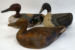 Three antique carved and painted wooden decoy ducks  approx. 11"-13"L