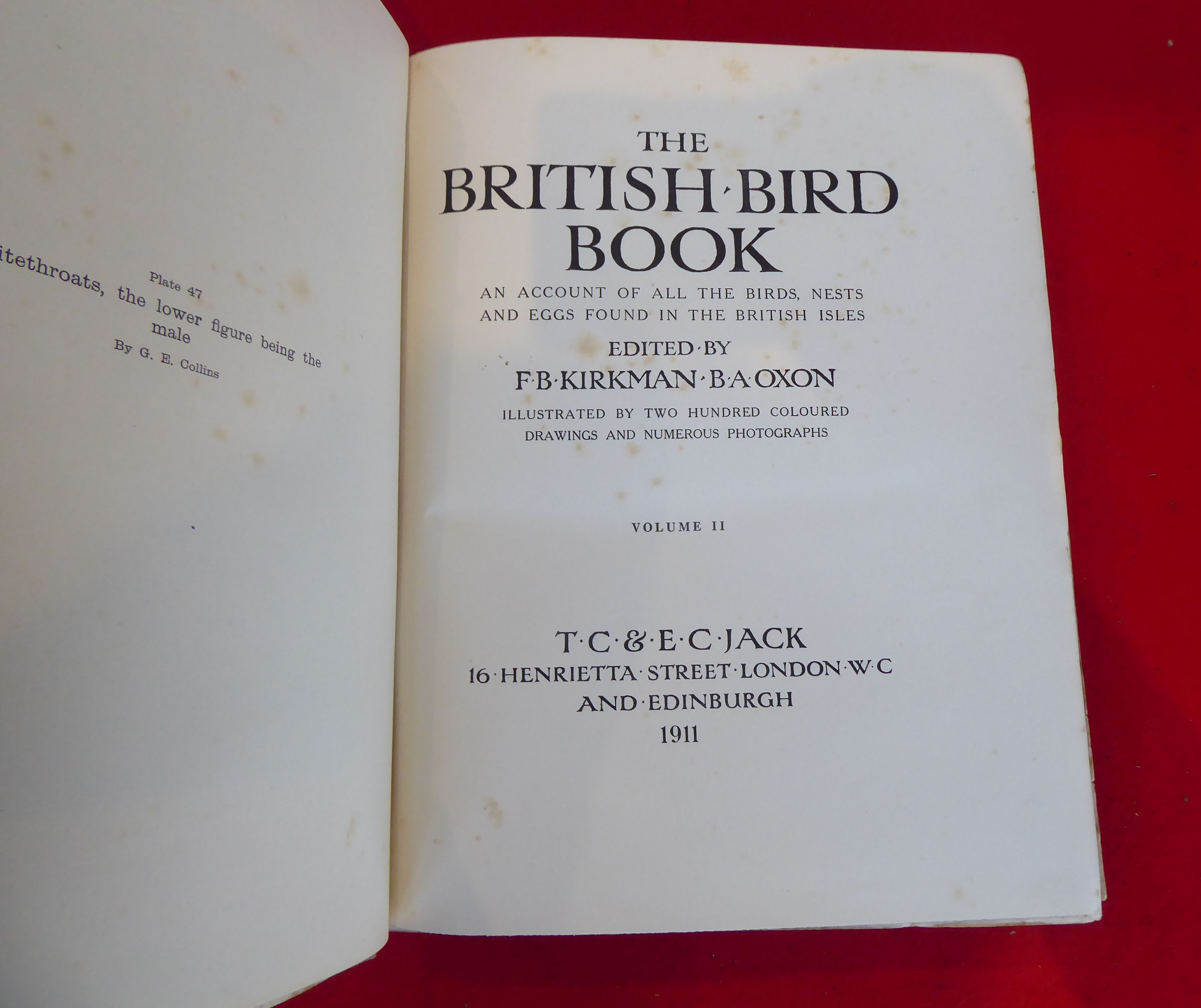 Books: 'The British Bird Book' edited by FB Kirkman  1911, in four volumes - Image 7 of 17