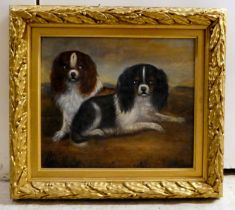 Late 19thC School - two seated King Charles spaniels  oil on board  8" x 10"  framed