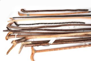 A collection of vintage and modern walking sticks