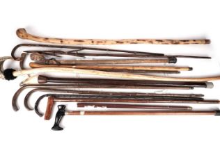 A collection of vintage and modern walking sticks