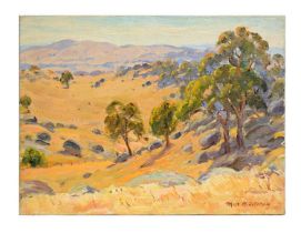 Max Middleton - Illuminated Outback, Australia | oil