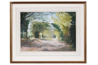 Ann Scott - Avenue of Acacias, Egypt | pastel